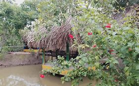 Vân Sơn Homestay